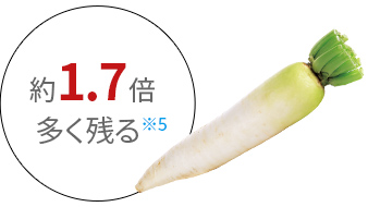 オートクッカービストロとホットクックの違いを比較!どっち買うべき?